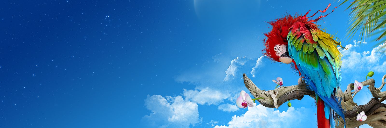 ganesh32992's profile banner image