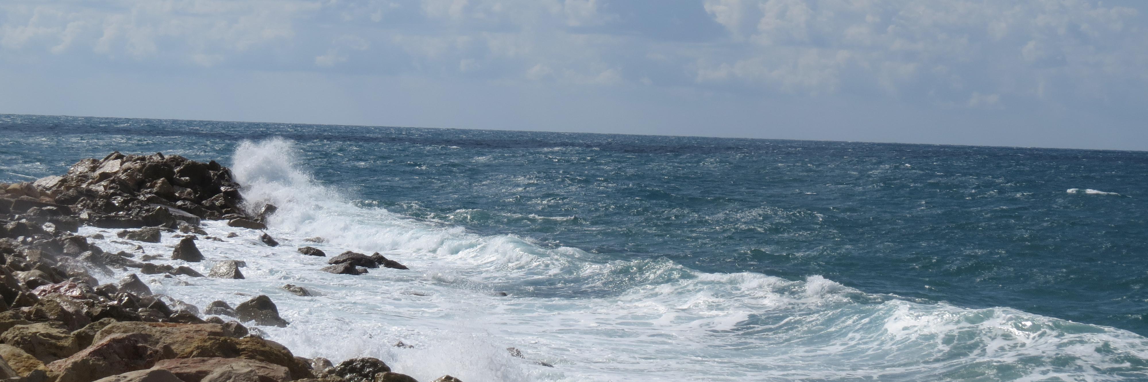 RonnyHacham's profile banner image