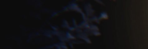 zoe banner