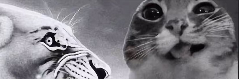 _speeeeed's profile banner image