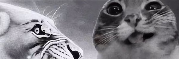 _speeeeed Profile Banner