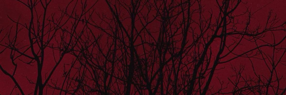 Fas_0s's profile banner image