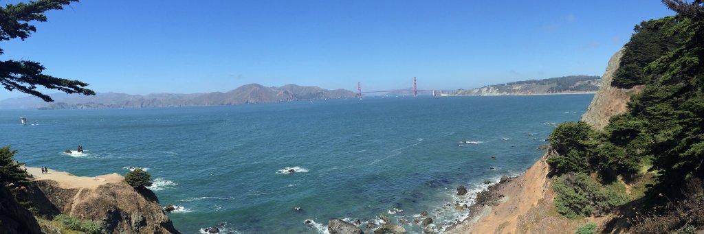 Robert holsey banner