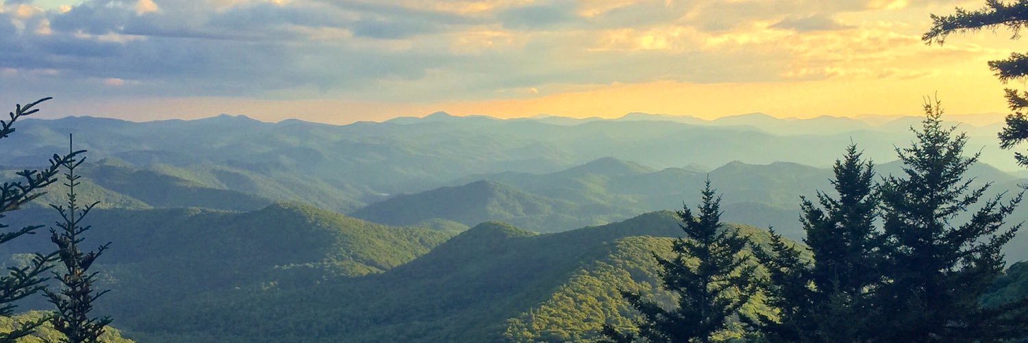 williamwetmore's profile banner image