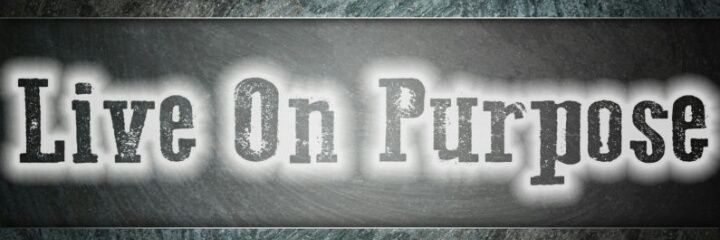 JeniMartin1's profile banner image