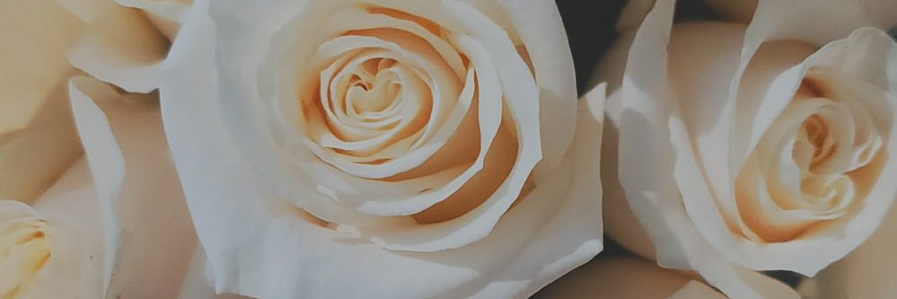 Xoxlupee's profile banner image