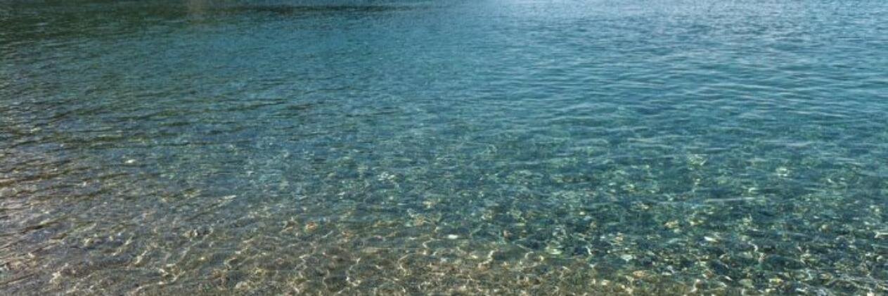 Corrado Bambini banner