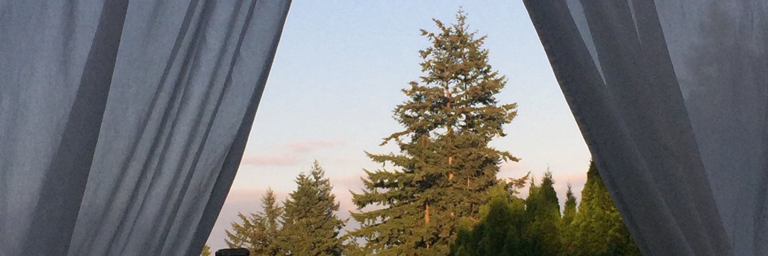 bsoulton's profile banner image
