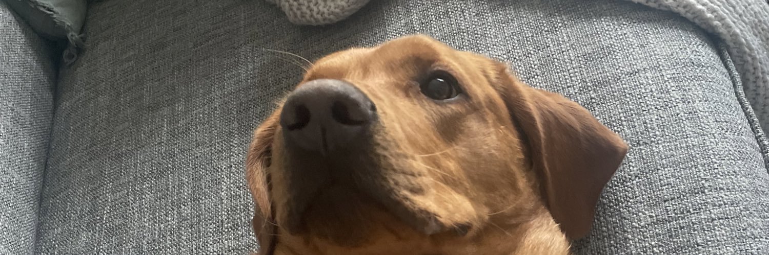 EIlyJackson's profile banner image