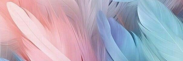 BrittoAline's profile banner image