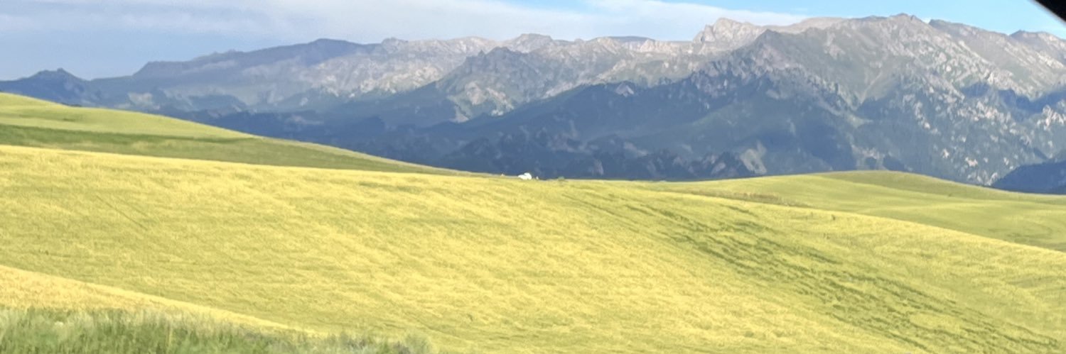 feifeiflo's profile banner image