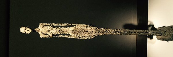 halbach_sqm Profile Banner
