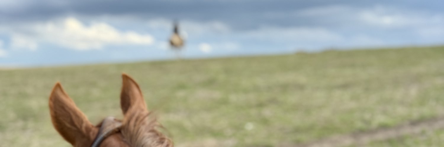Berry_2014's profile banner image