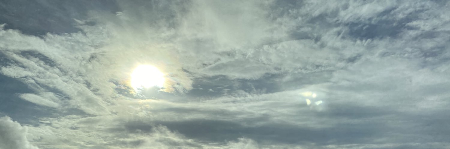 miyu___bird's profile banner image