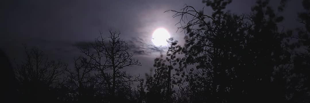 tracymae210's profile banner image