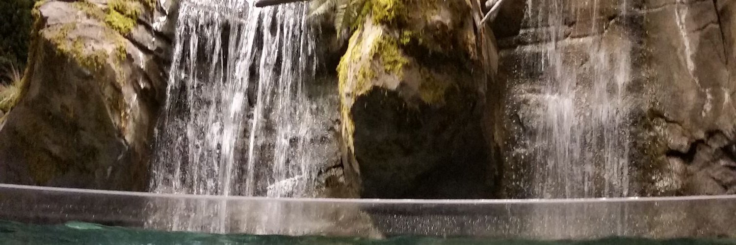 verovaga77's profile banner image