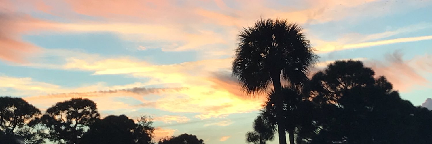Xschmidtty's profile banner image