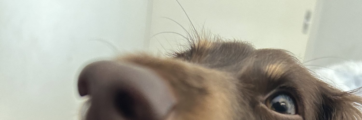 rktr000's profile banner image