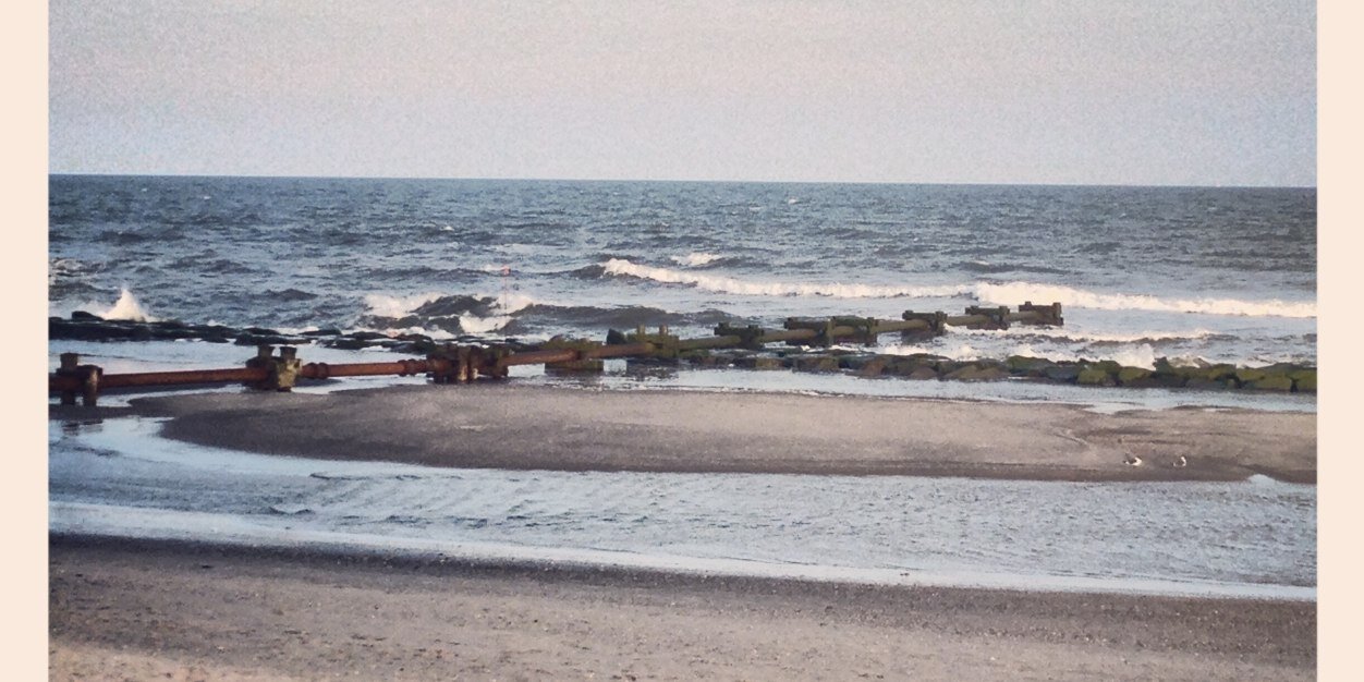 Lisa McCusker banner