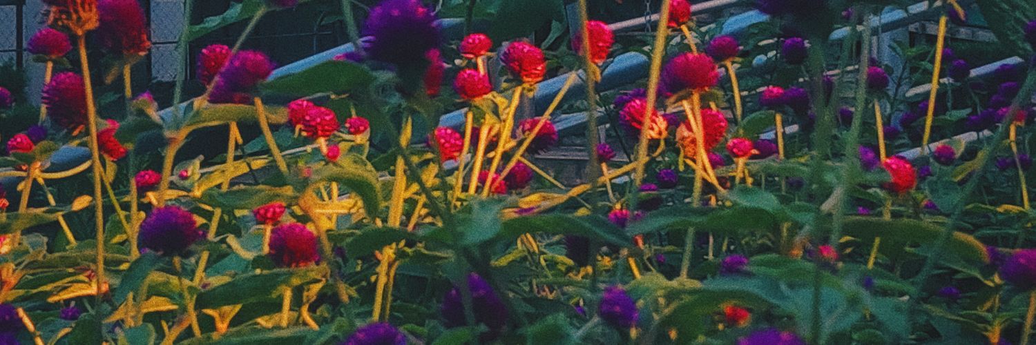 j3n444's profile banner image
