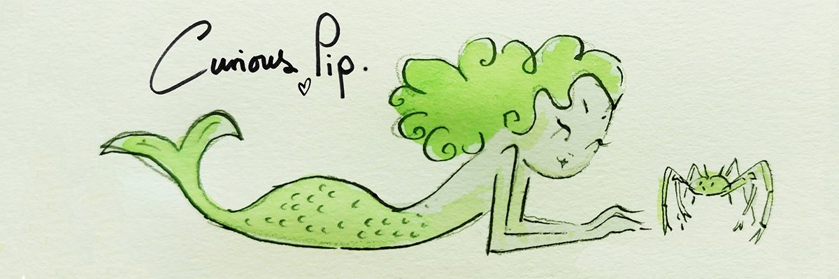 Curious Pip banner