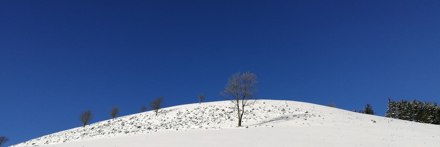 rhodcodes's profile banner image