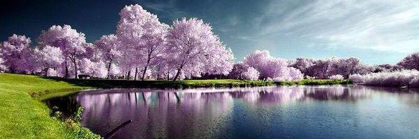90_milad's profile banner image