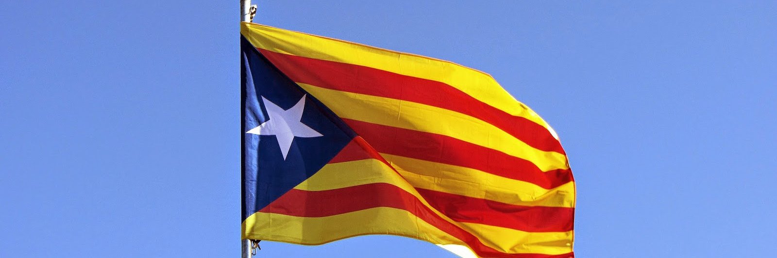 Germán Caufapé banner