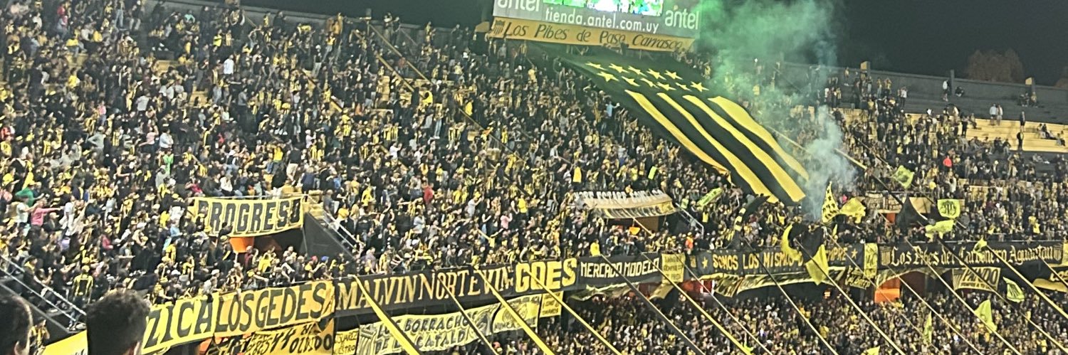 Ferchuucastro's profile banner image