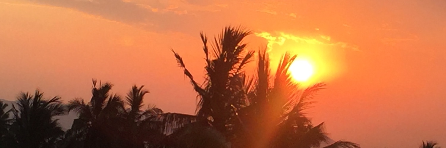 sgandhi253's profile banner image