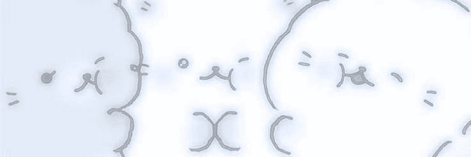 vorailee's profile banner image