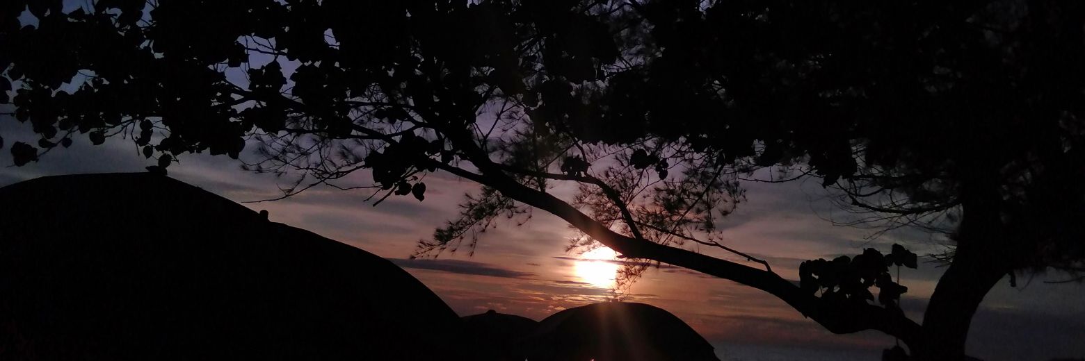 ourloeypark's profile banner image