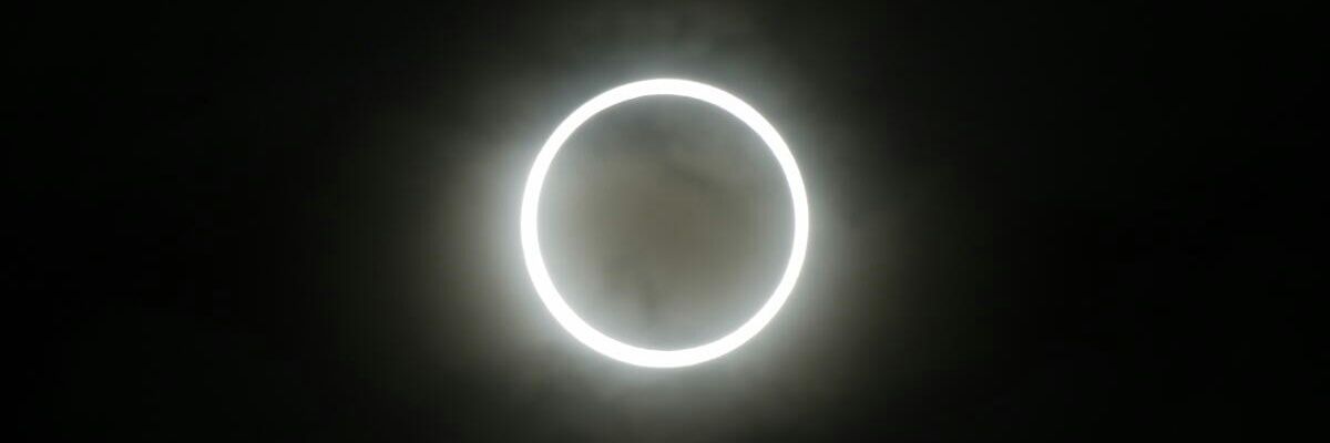 ibimonotone's profile banner image