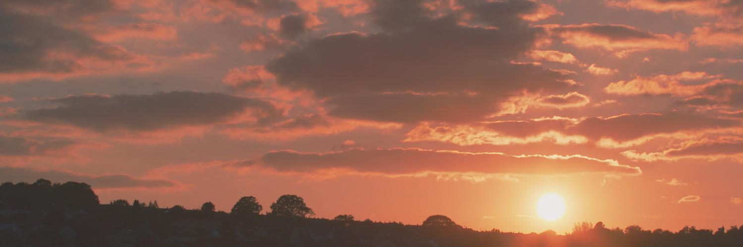 SheltorX's profile banner image