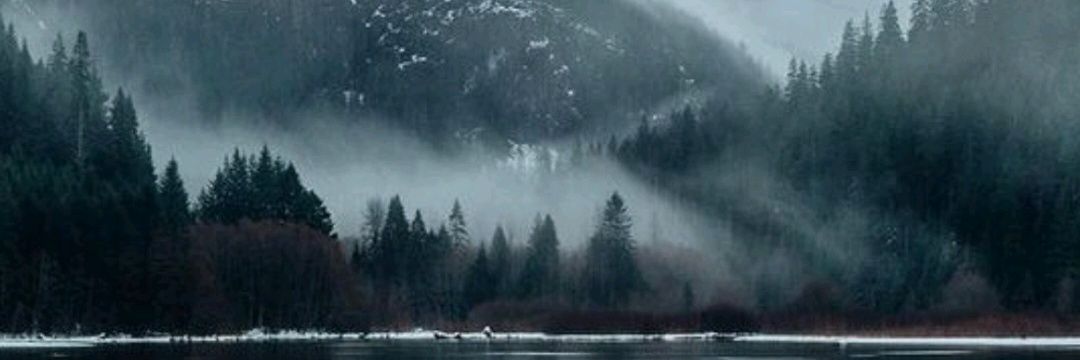 simas_cami's profile banner image