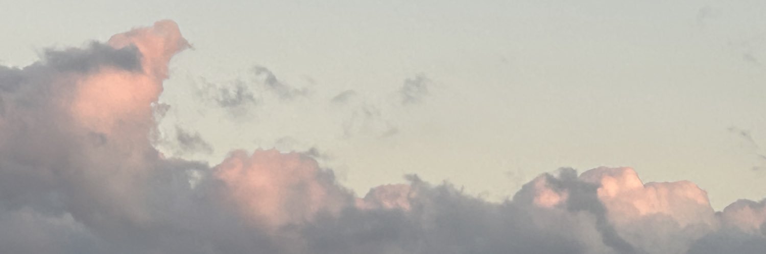 Ryo_Nish's profile banner image