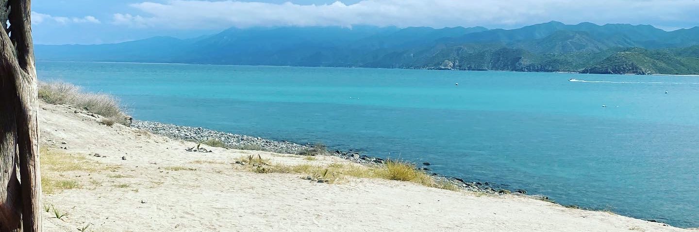 Rybaxx's profile banner image