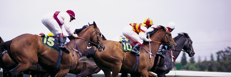 racingmastery's profile banner image