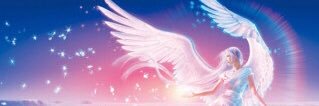 MvY6c's profile banner image
