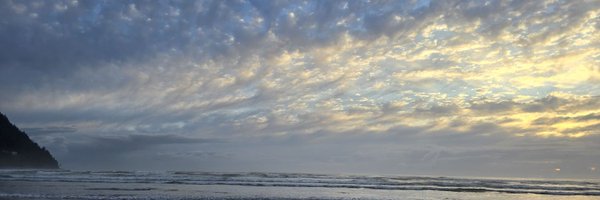 prokbutt Profile Banner