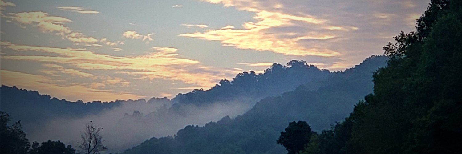 CindyJento's profile banner image