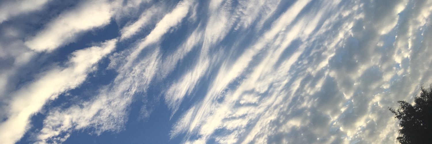 alp_small's profile banner image