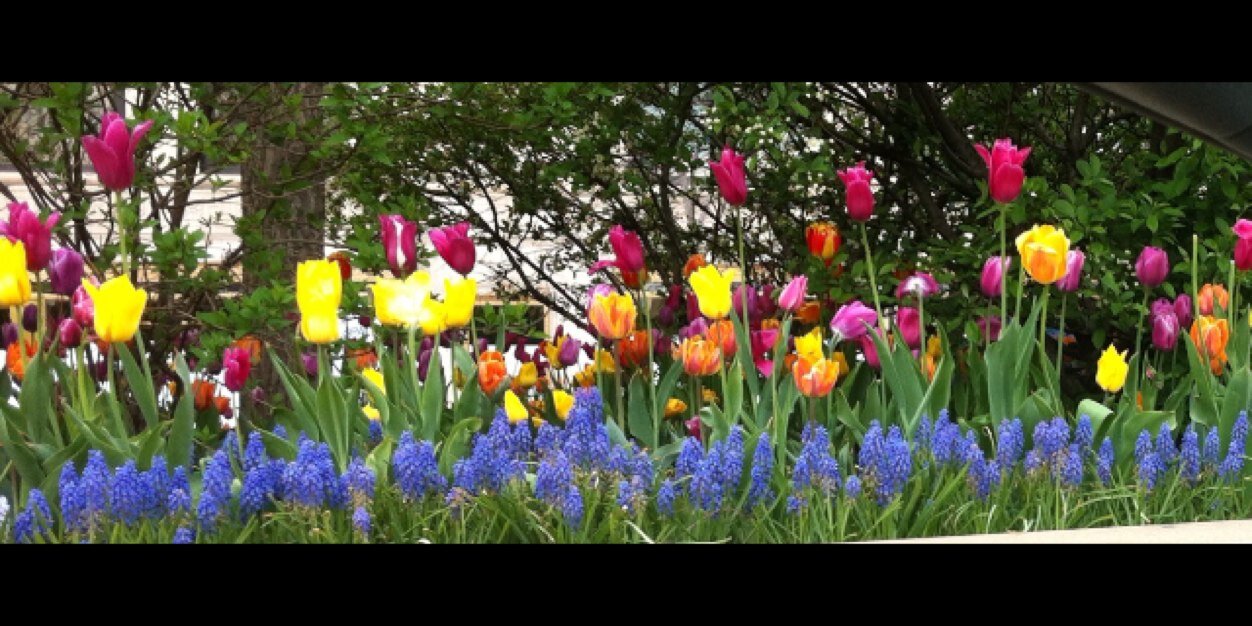 KathyMadden's profile banner image