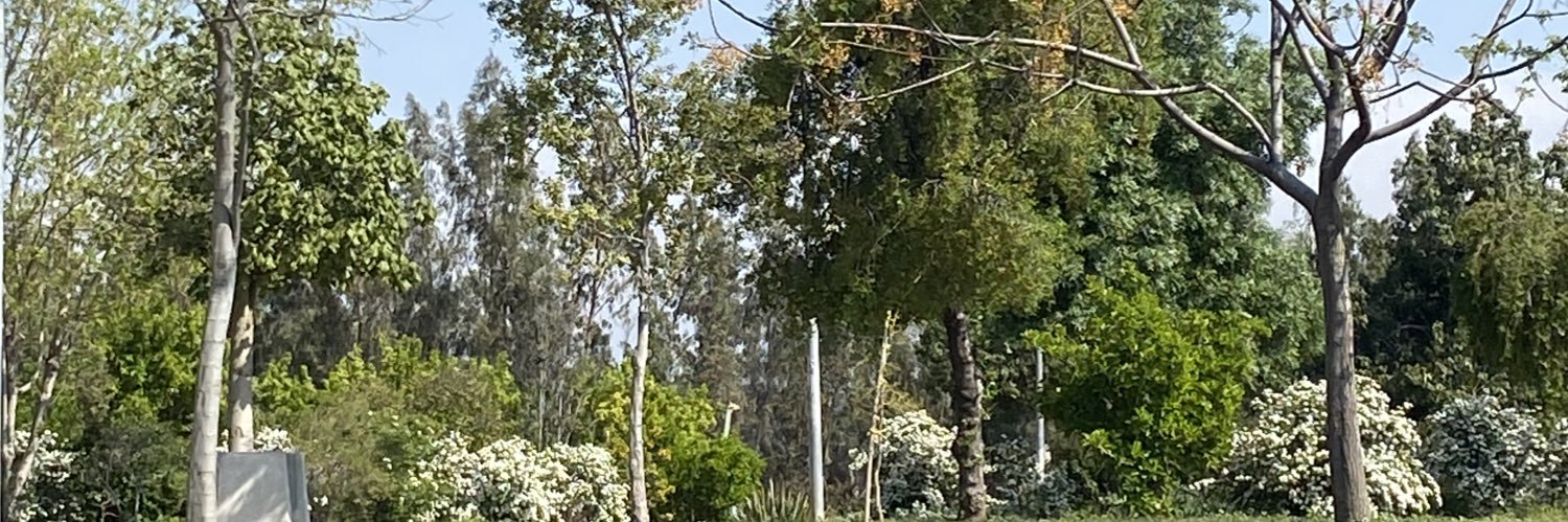 jesus37366124's profile banner image