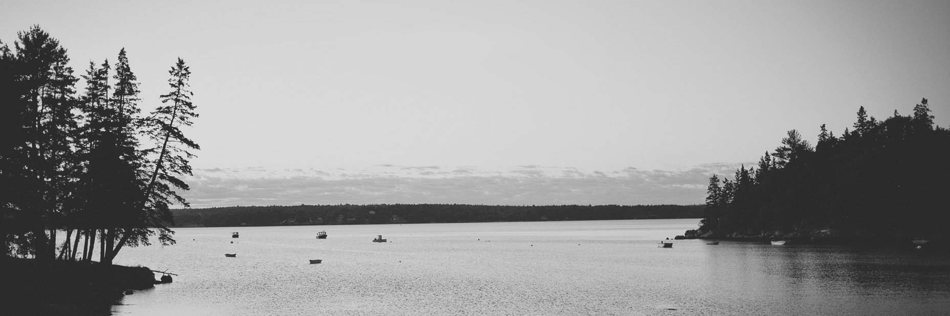 thatkindofyou's profile banner image