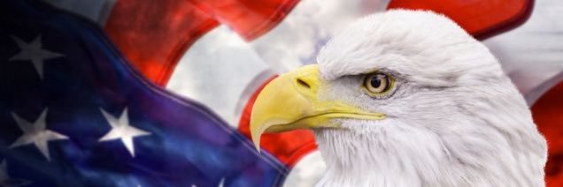 allencanman's profile banner image