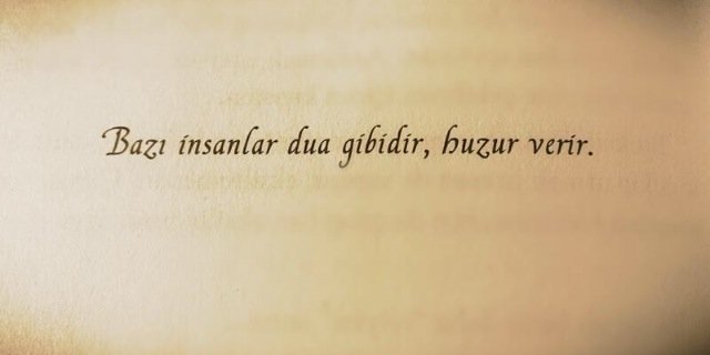 MerveGulTercan's profile banner image