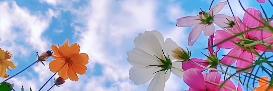 graacegardee's profile banner image