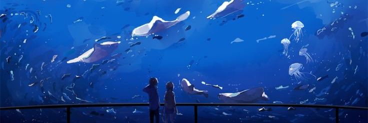 TAOFAII's profile banner image