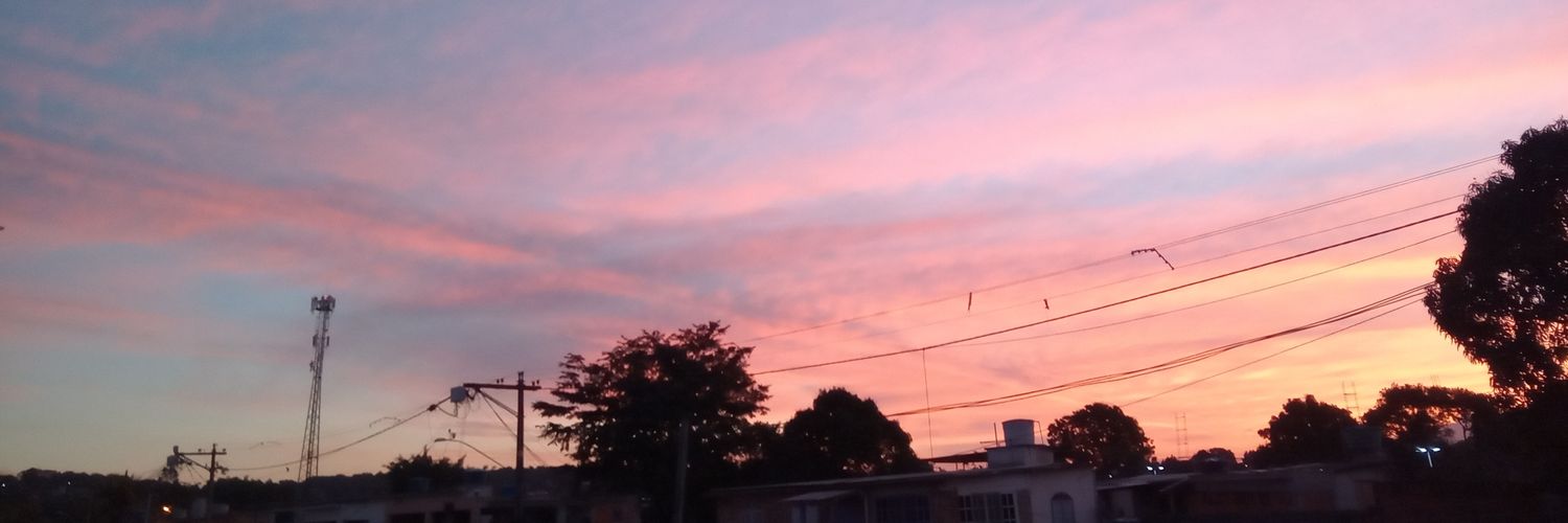 lari_rasta's profile banner image